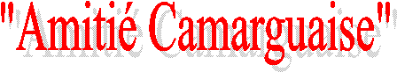 "Amiti Camarguaise"